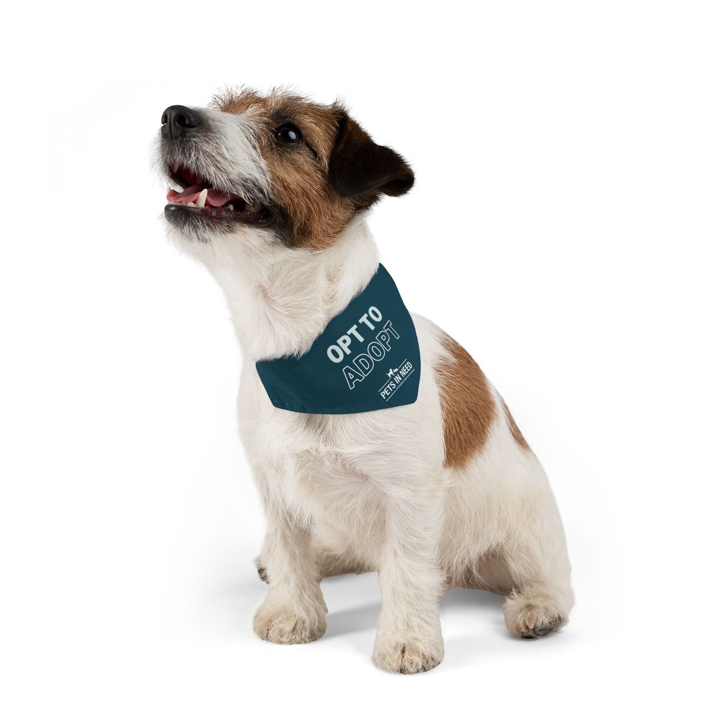 Adoptable Pet Bandana Collar - 'Opt to Adopt'