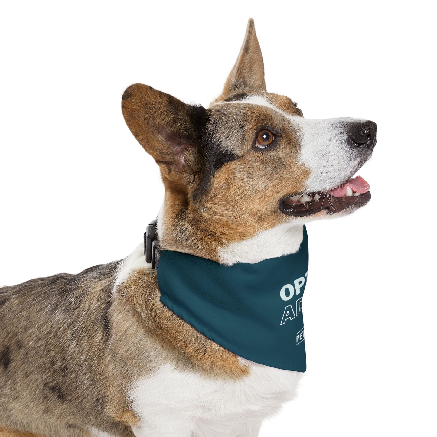 Adoptable Pet Bandana Collar - 'Opt to Adopt'