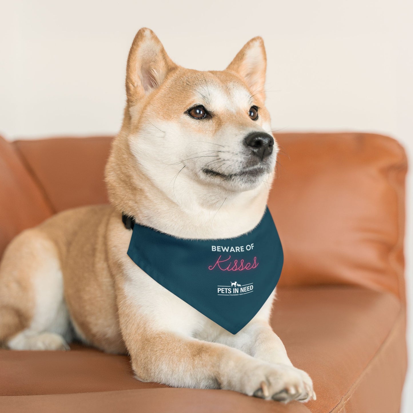 Beware of Kisses Pet Bandana Collar