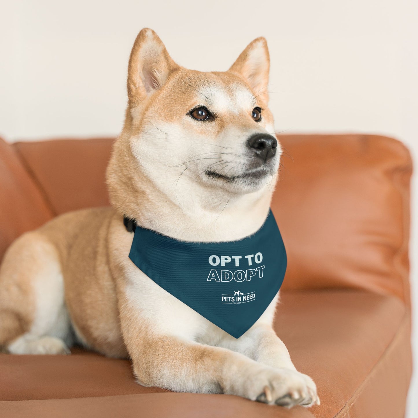 Adoptable Pet Bandana Collar - 'Opt to Adopt'