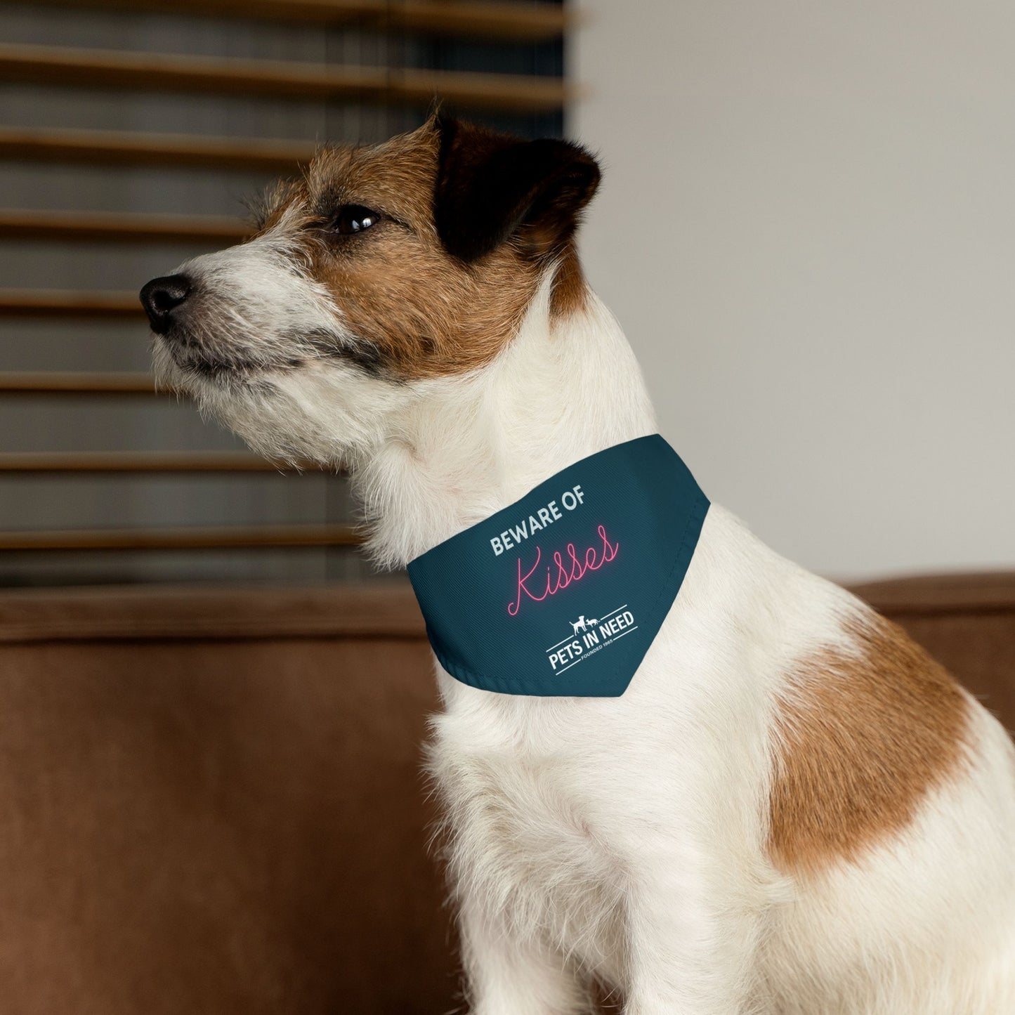 Beware of Kisses Pet Bandana Collar