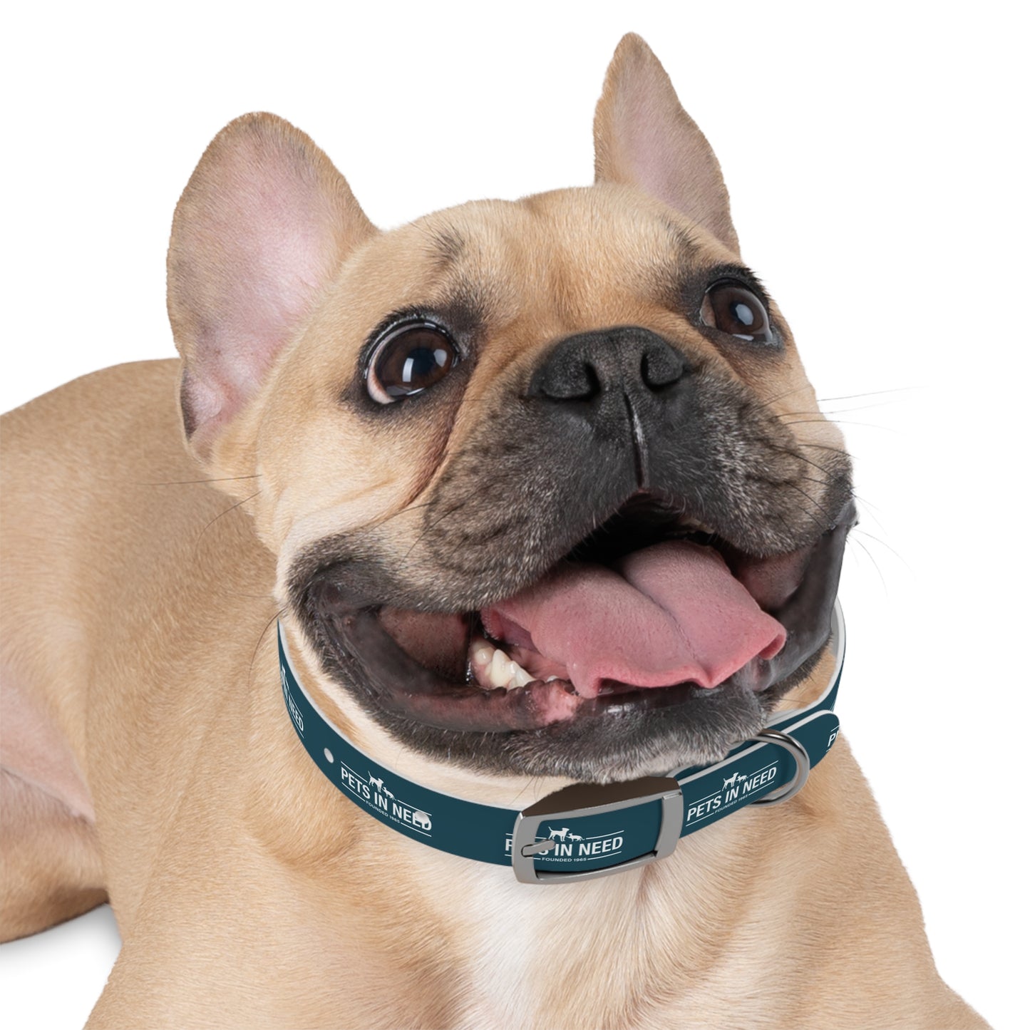 Pets in Need Dog Collar