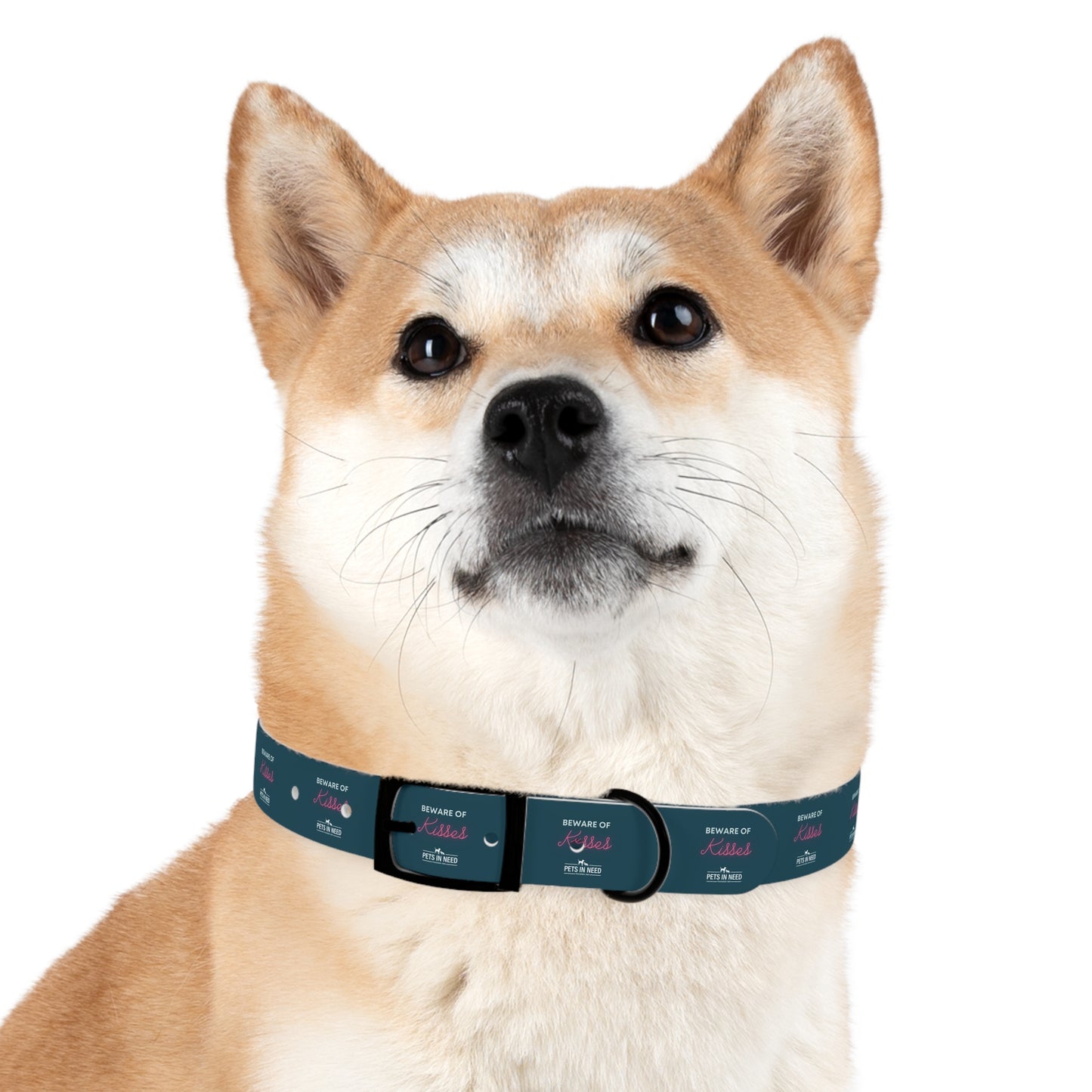 Beware of Kisses Dog Collar - Fun & Playful Pet Accessory