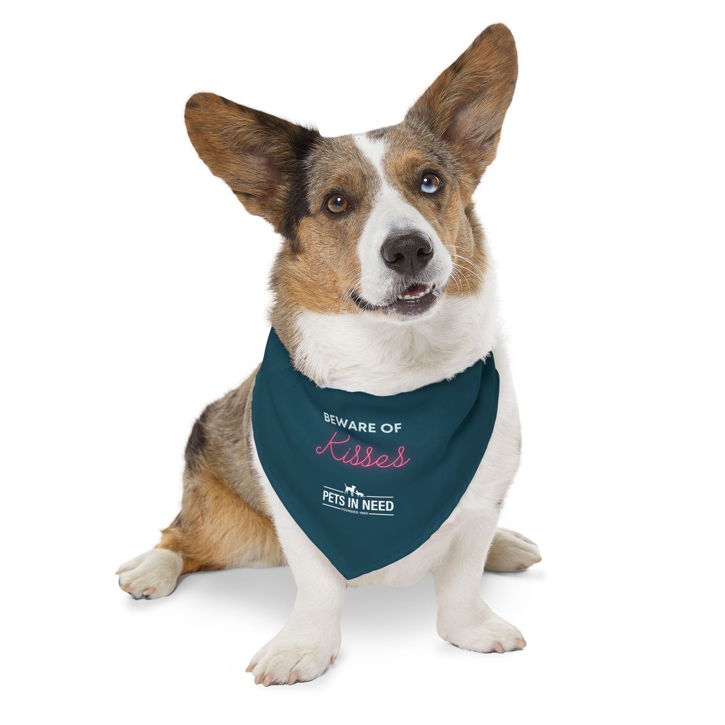 Beware of Kisses Pet Bandana Collar