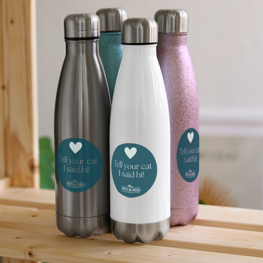 Insulated Stainless Steel Water Bottle - silver