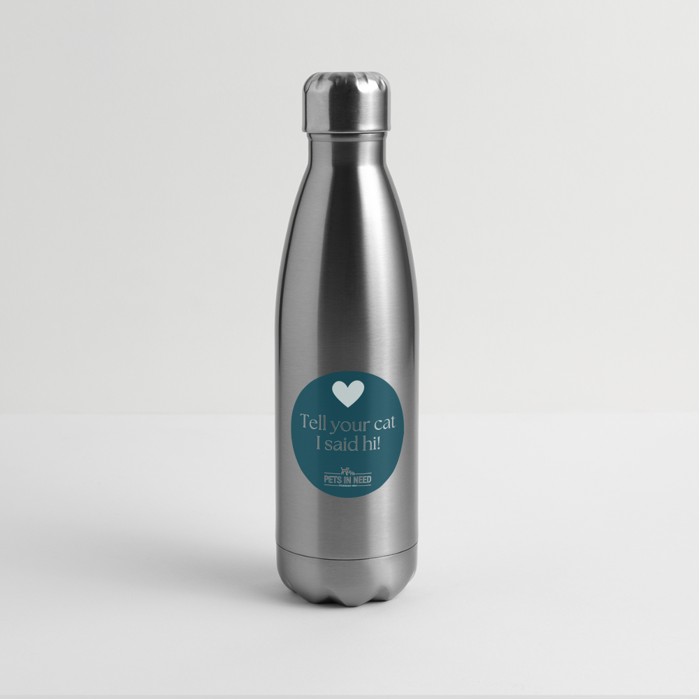 Insulated Stainless Steel Water Bottle - silver