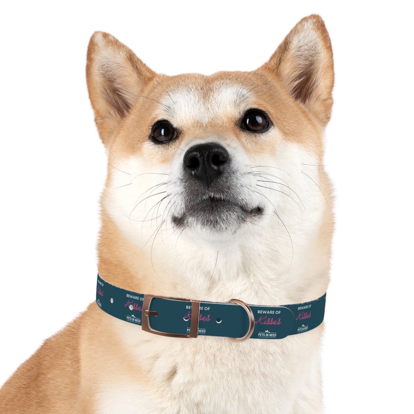 Beware of Kisses Dog Collar - Fun & Playful Pet Accessory