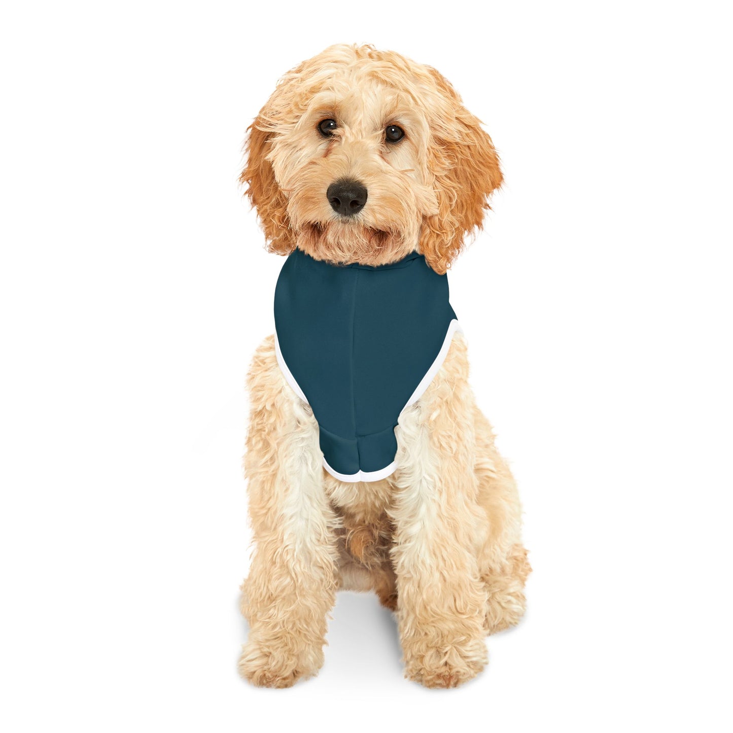 Cozy Pet Hoodie for Dogs - 'Pets In Need' Design